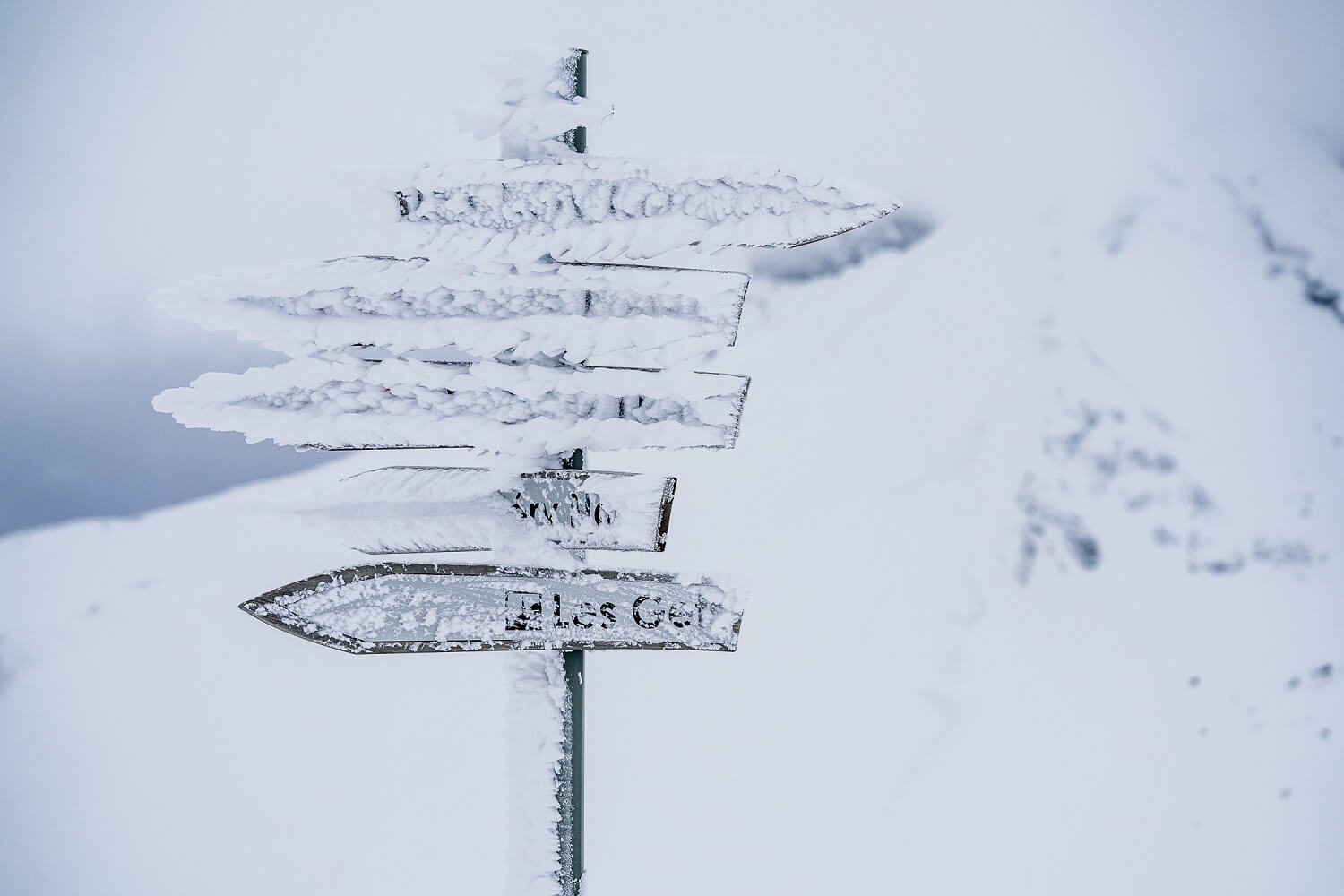 Les Gets Domaine Skiable 