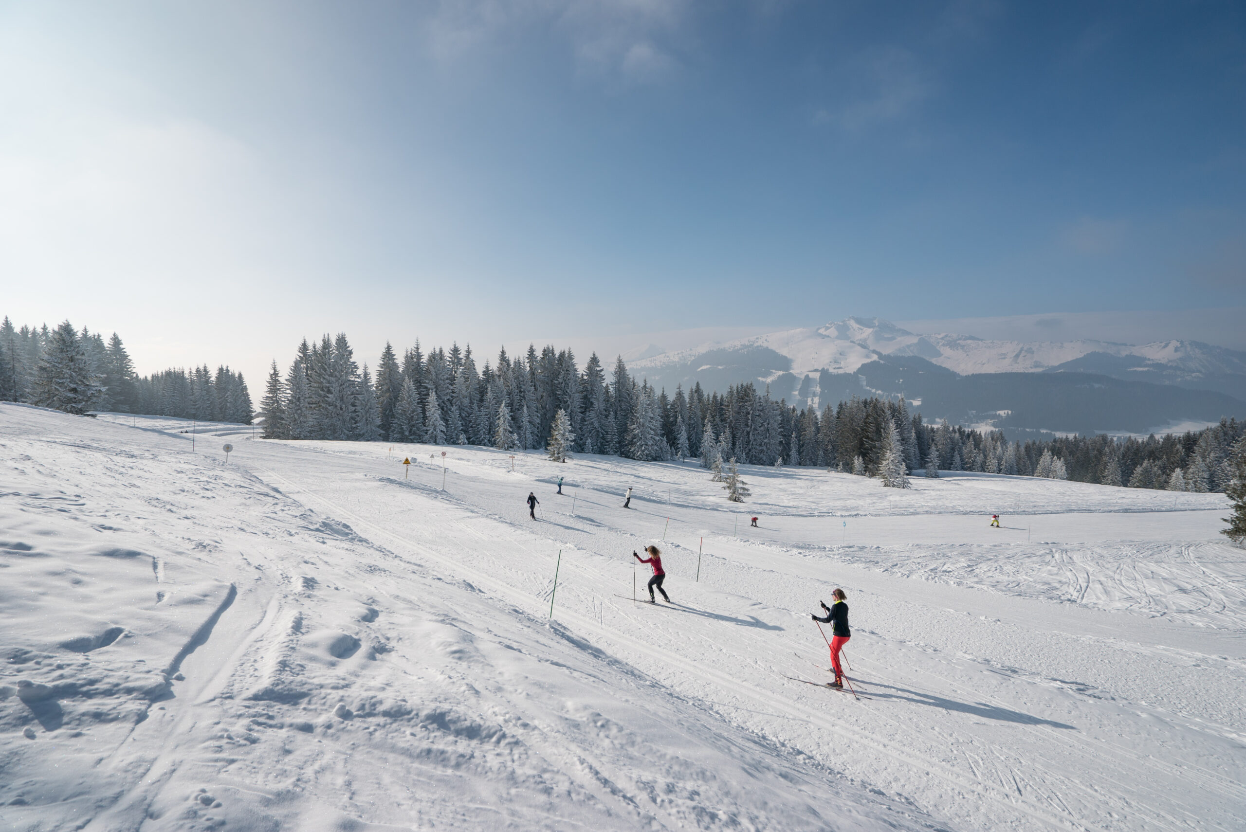 Personnes faisant du ski de fond avec ciel bleu