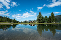 Lac en été avec pelouse, sapins et ciel bleu