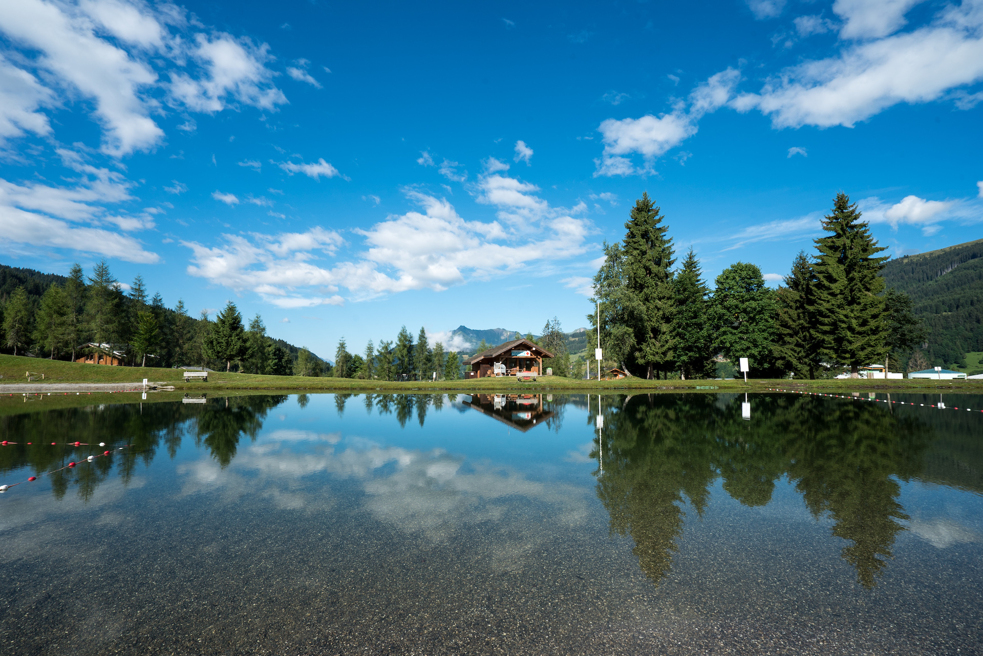 Lac en été avec pelouse, sapins et ciel bleu