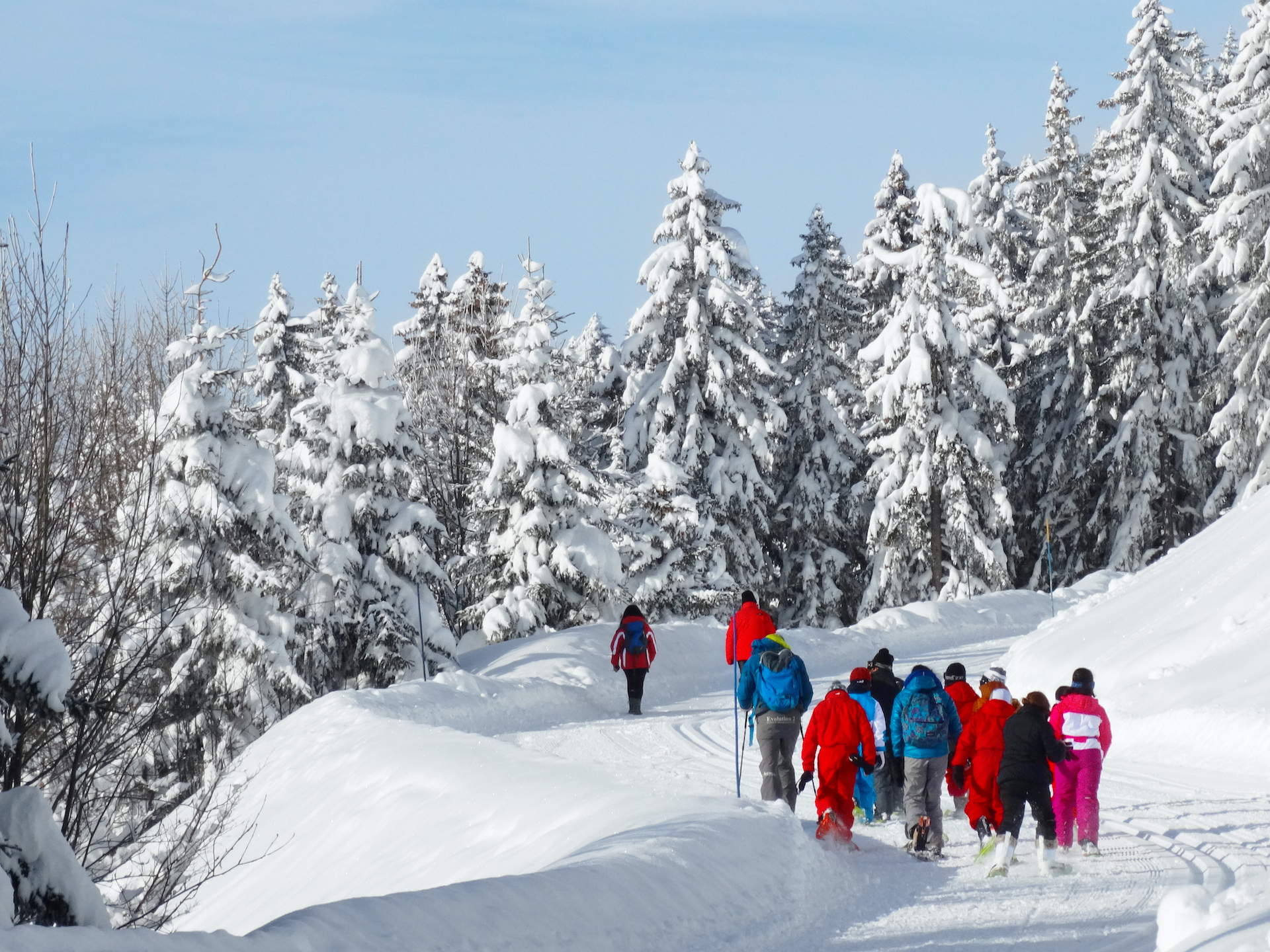 Groupe faisant une balade en raquettes en hiver avec sapins enneigés en fond