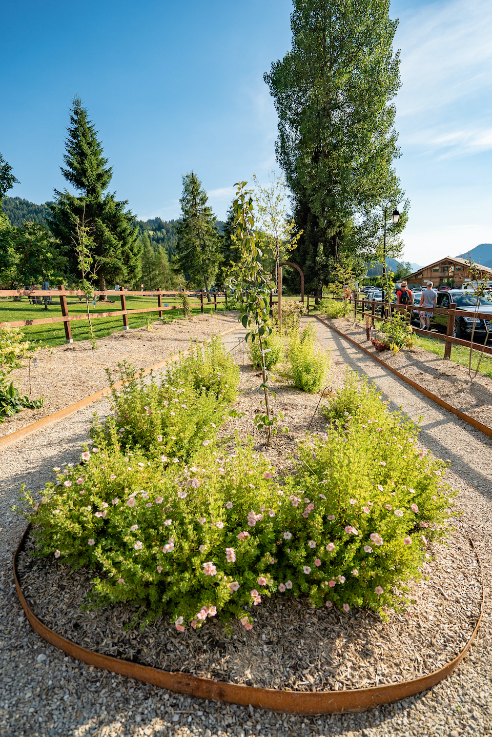 Vue d'ensemble du jardin botanique avec sapins en fond