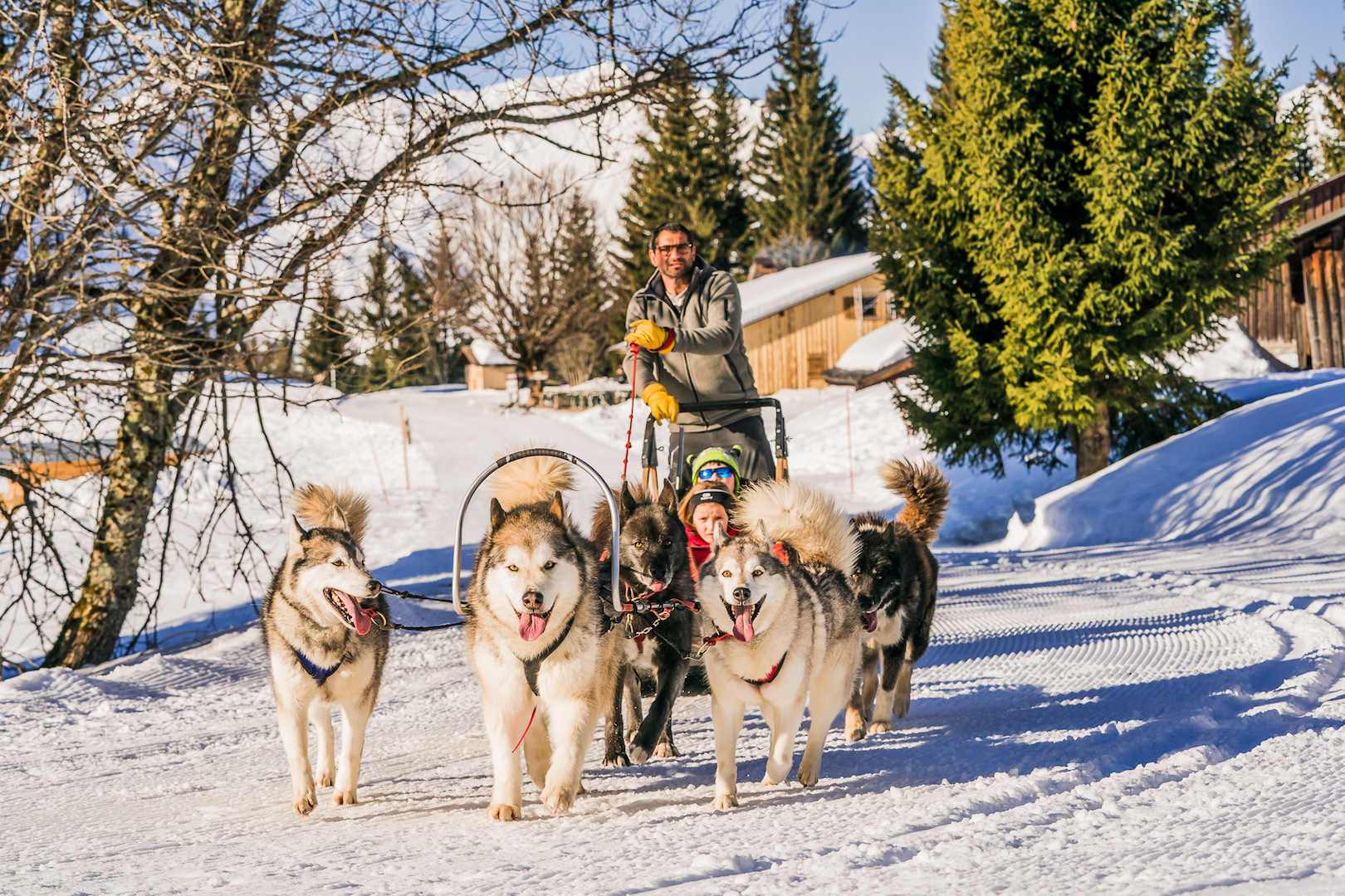 Femme et son enfant faisant une balade en chiens de traîneau accompagnés d'un musher