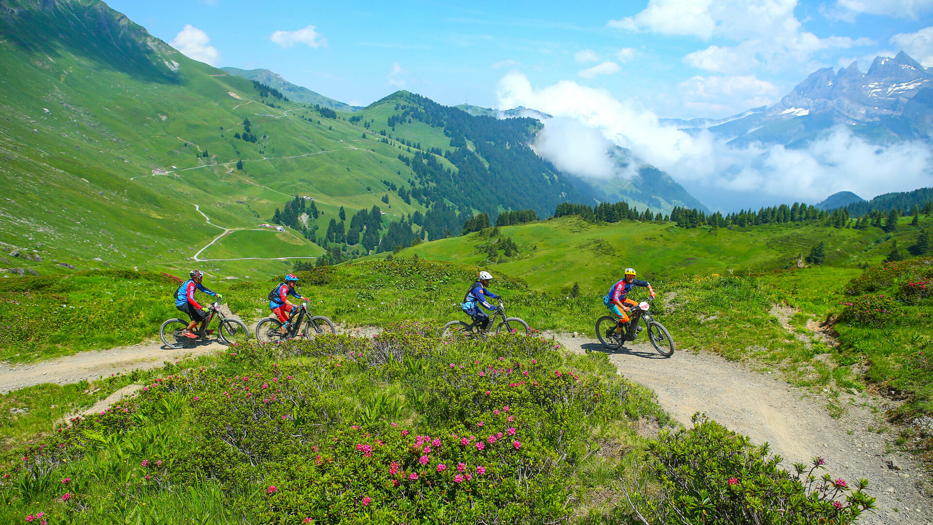 People riding Moutain bikes with moutains in the back