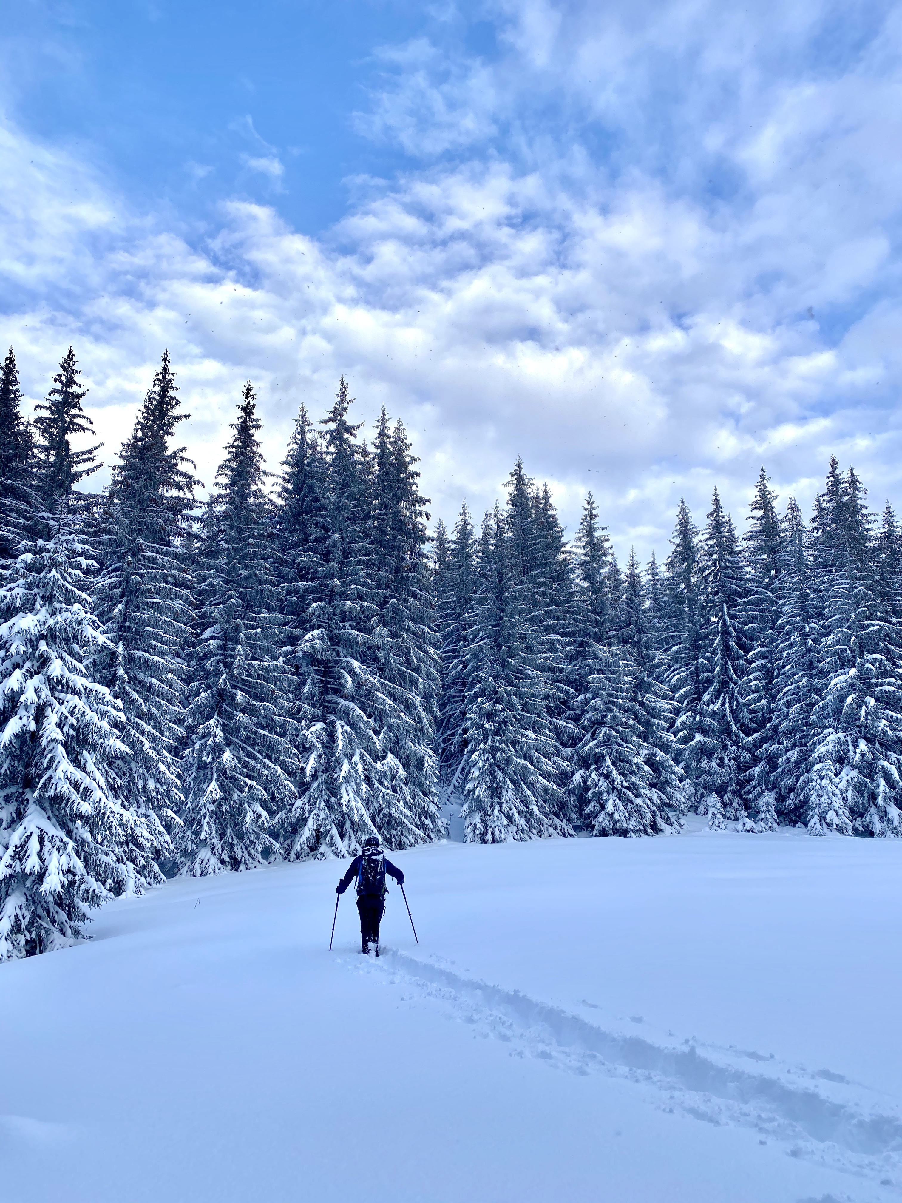Hiking and snowshoeing - All winter activities - Les Gets