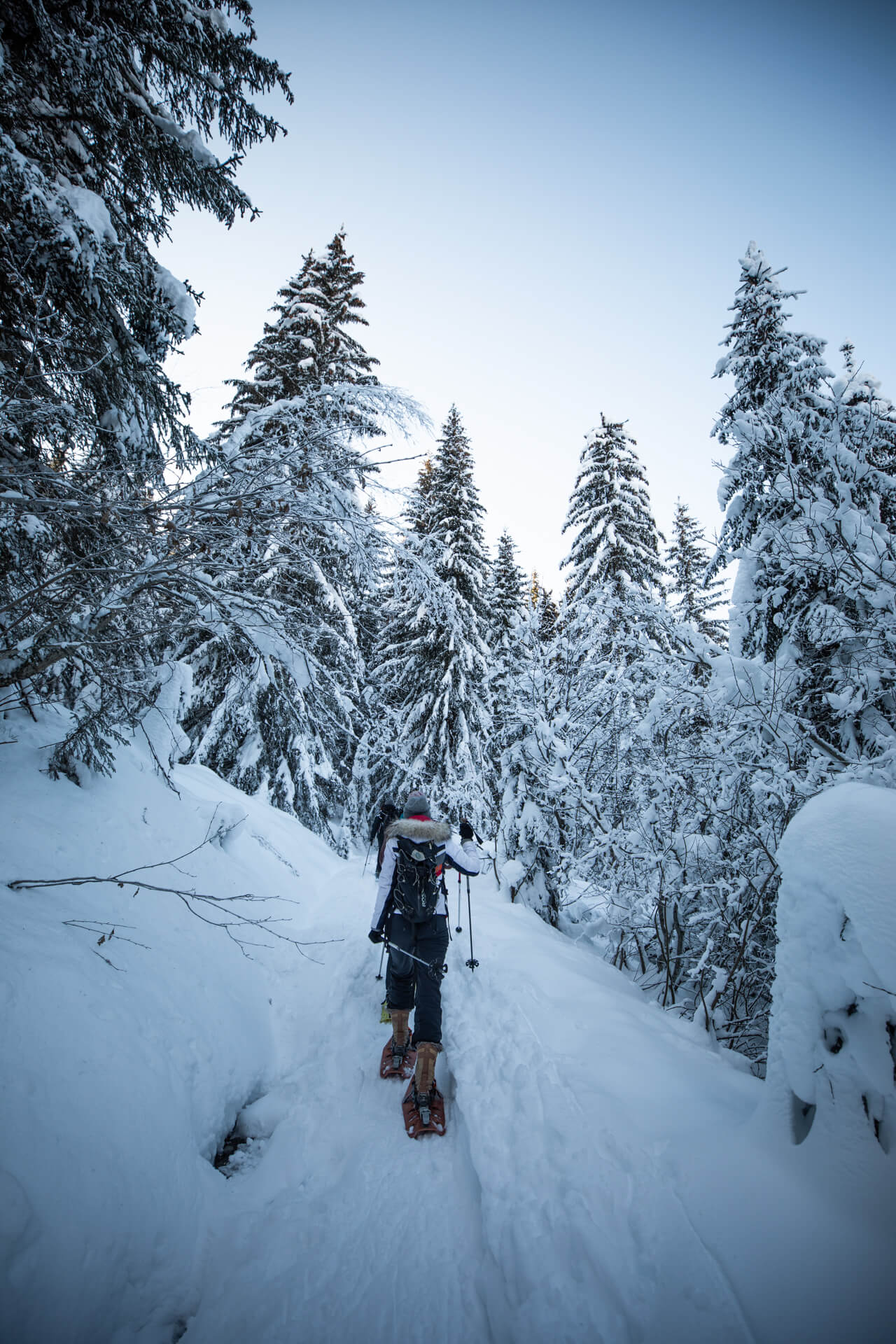 Snowshoe trail from Lélex to Crêt de la Neige - Pays de Gex Monts