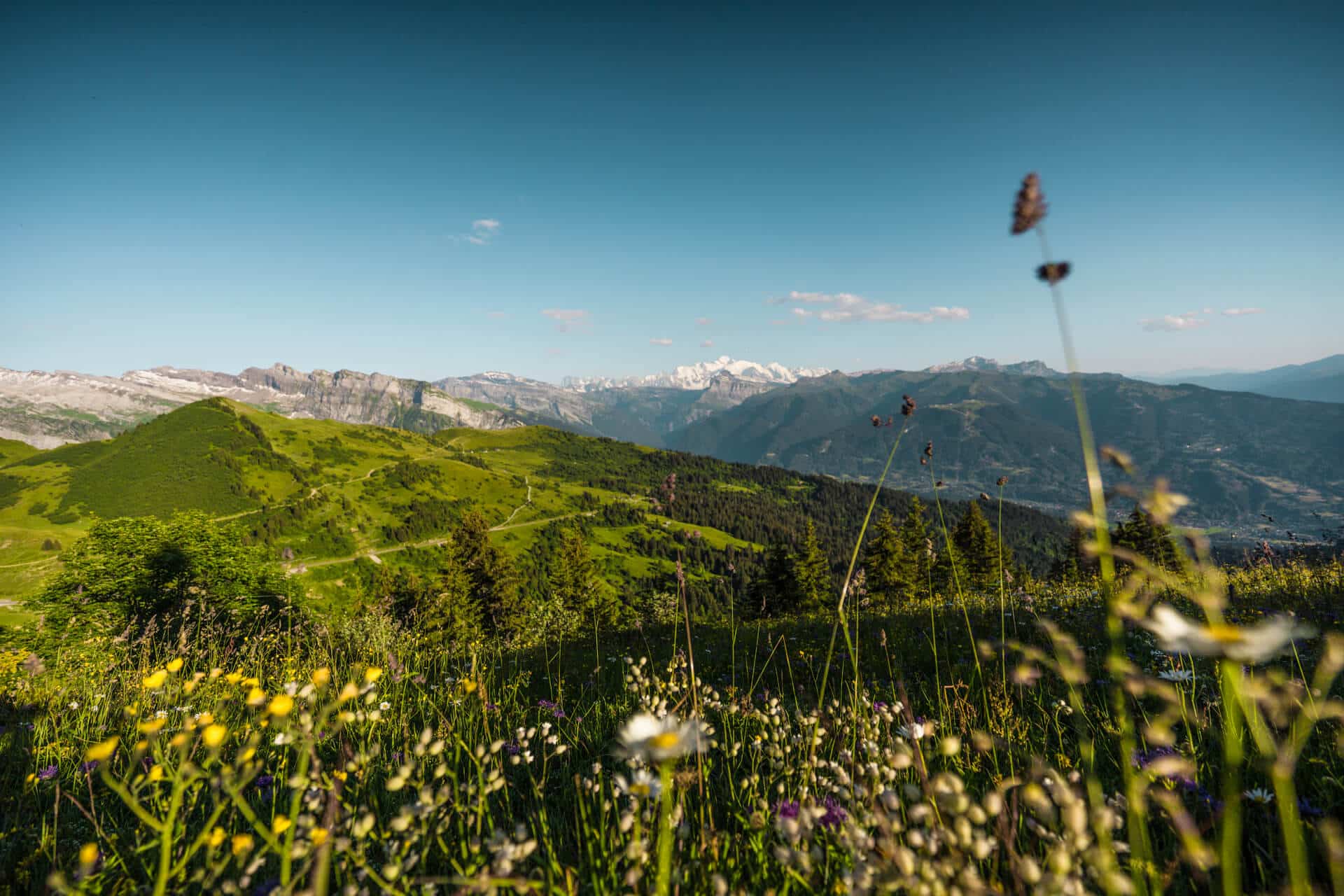 Webcams Live All webcams of Les Gets ski resort