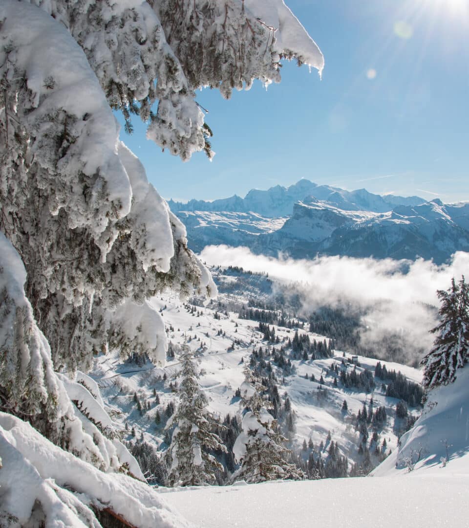 webcams live all webcams of les gets ski resort