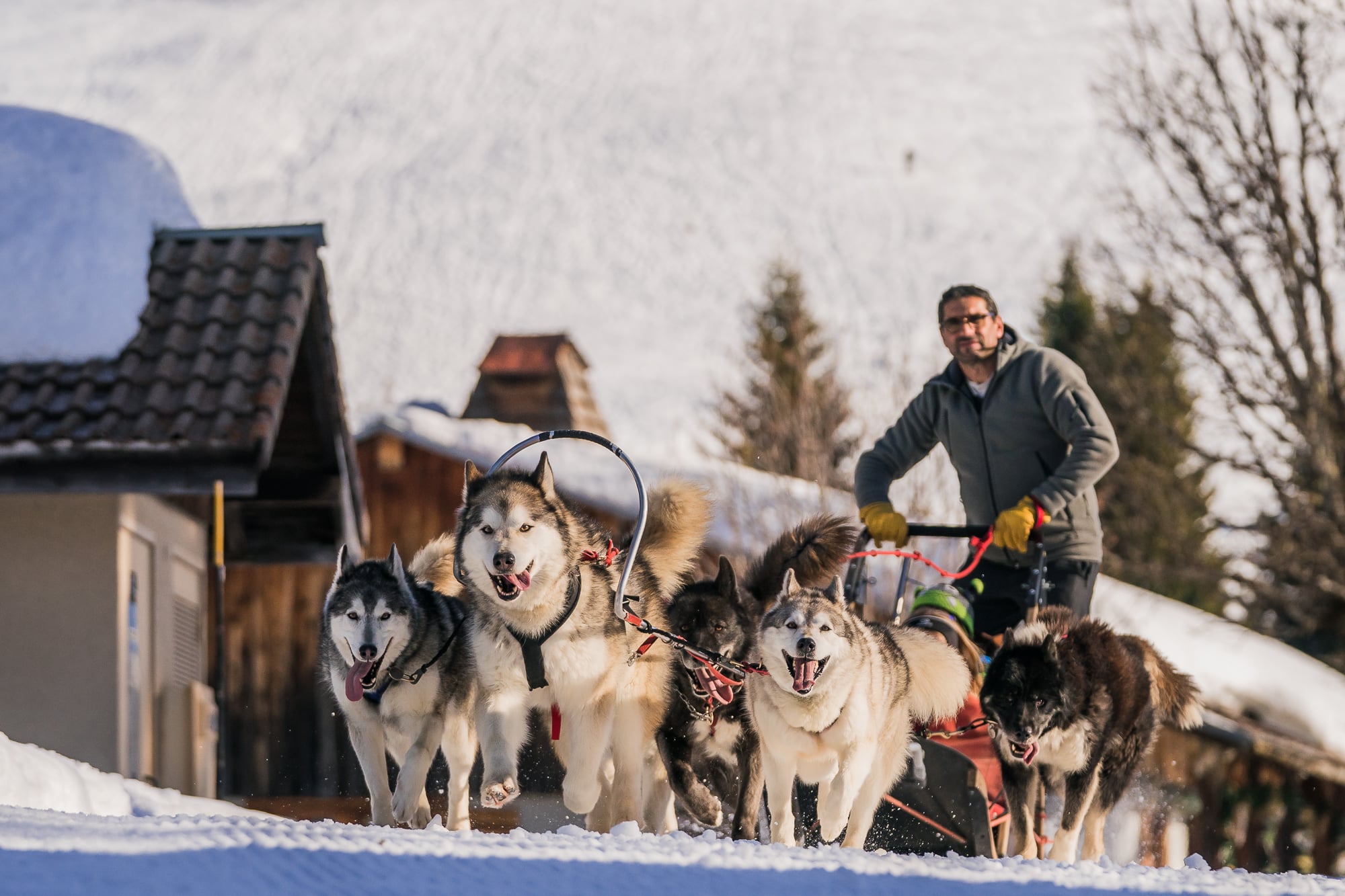 Winter activiteiten