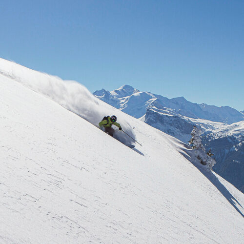 Skier dans la poudreuse