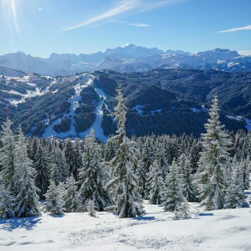 Paysage enneigé avec Sapins Les Gets