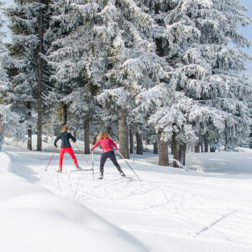 Deux personnes faisant du ski de fond avec chalet et sapins enneigés