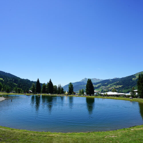 Lac en été avec vacanciers bronzant et se baignant