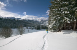 Portes du Soleil : the perfect ski, rock & bike combo