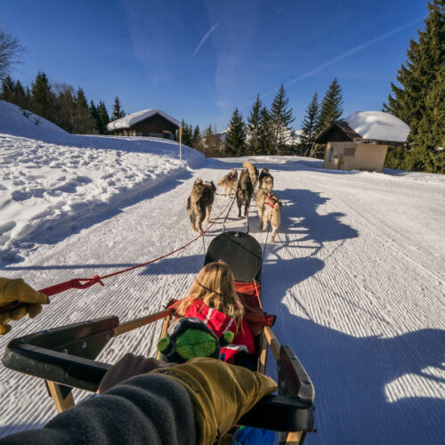 Balade d'enfants en chiens de traîneau