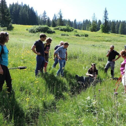 Groupe écoutant une femme donner des explications sur l'environnement en été