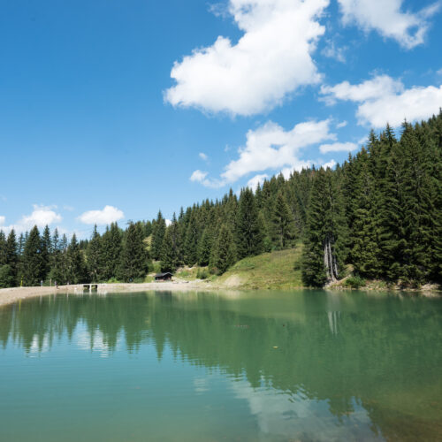 Lac en été avec forêt de sapins à droite et ciel bleu