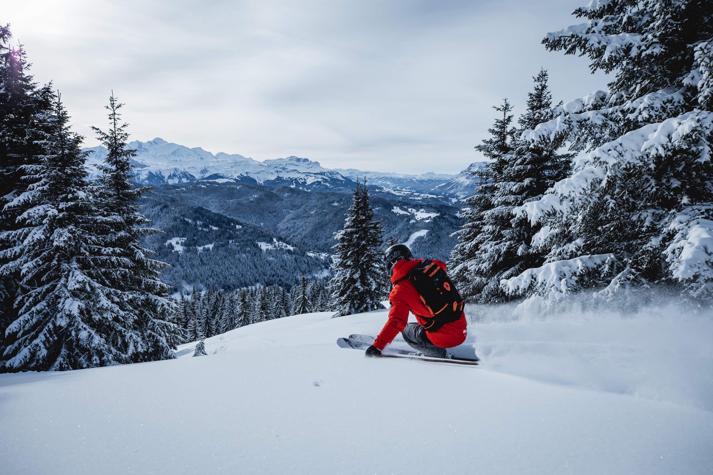 Skier in powder snow with mountain and fir trees