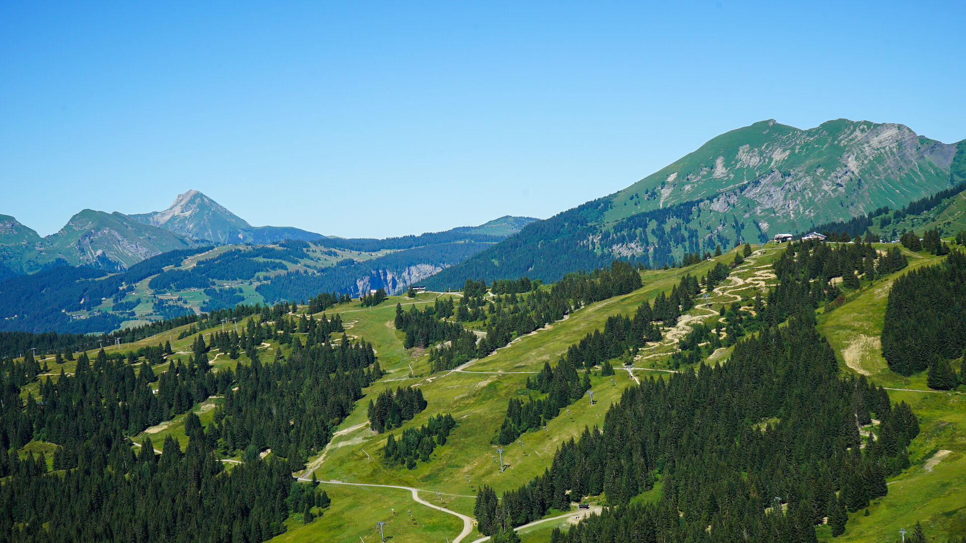 Paysage montagne en été