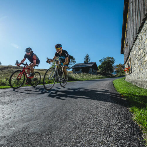 Cyclistes en été sur une route de montagne