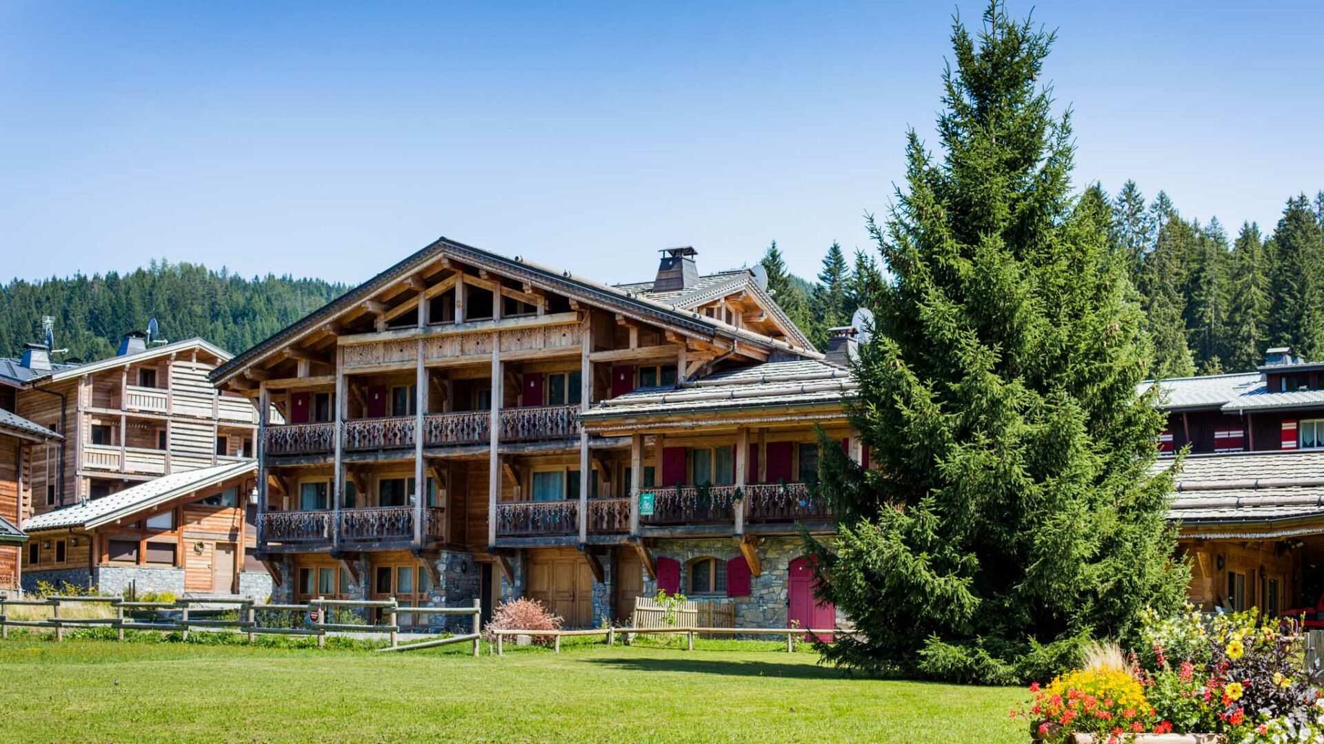 Chalets en bois en été avec sapin devant et pelouse verte.