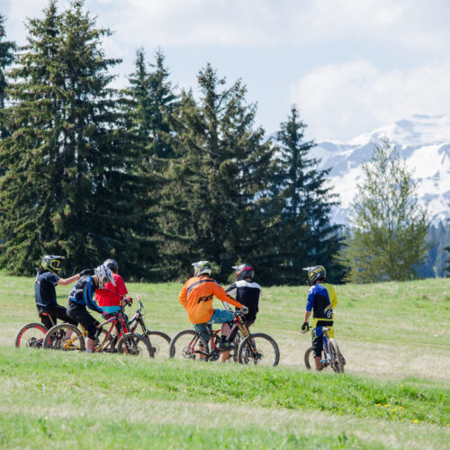 Group of friends on mountain bikes in summer