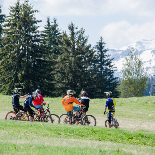 Groupe d'amis en VTT en été