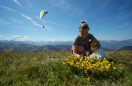 Femme cueillant un bouquet de fleurs jaunes en été avec parapentiste et montagne en fond