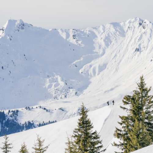 Paysage de montagne en hiver