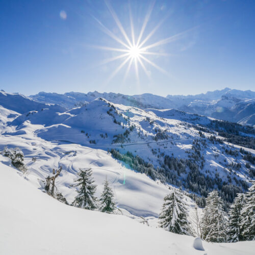 Paysage de montagne en hiver