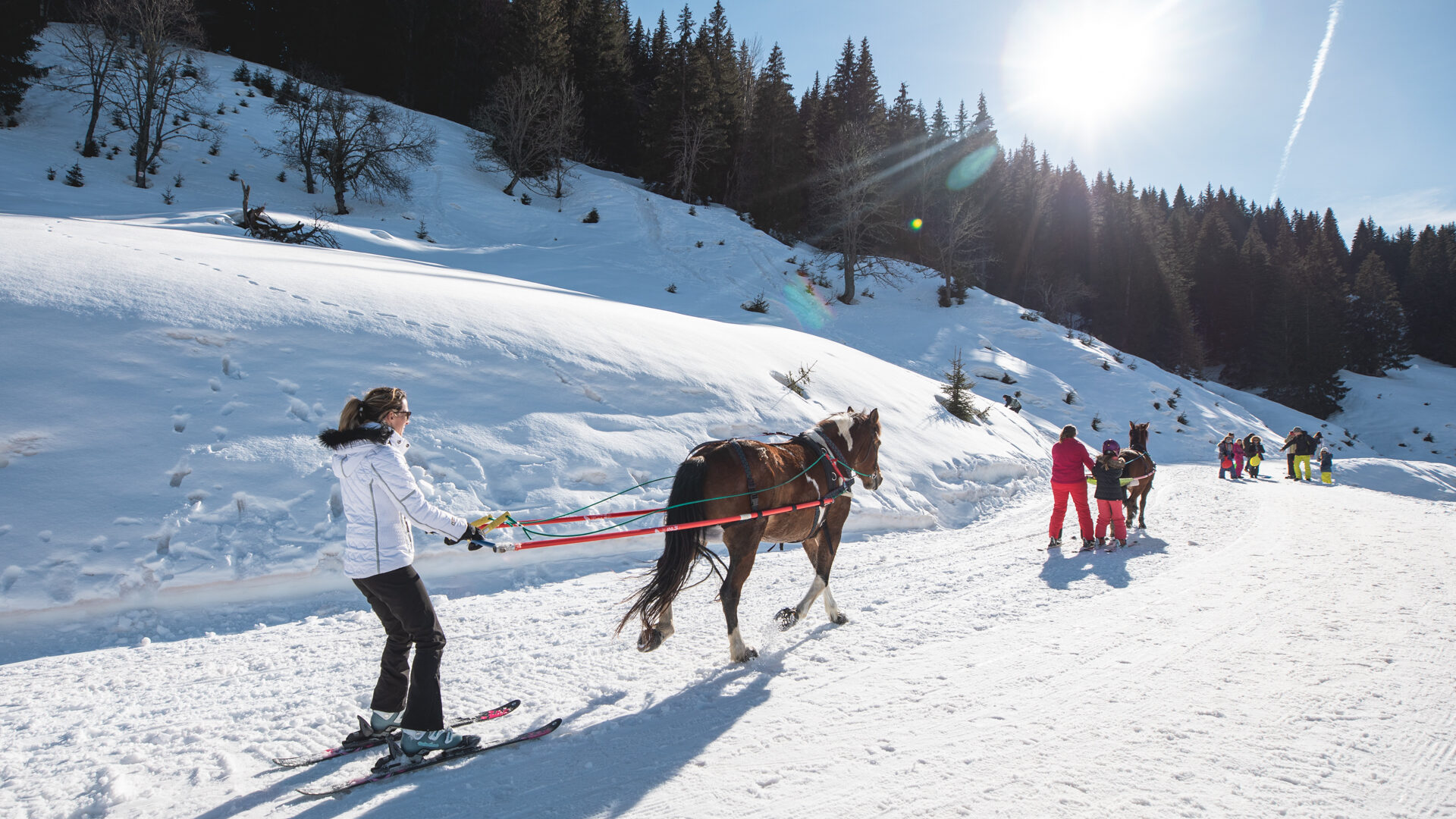 Ski joering Les gets