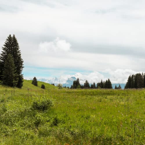 Panorama Mont Blanc
