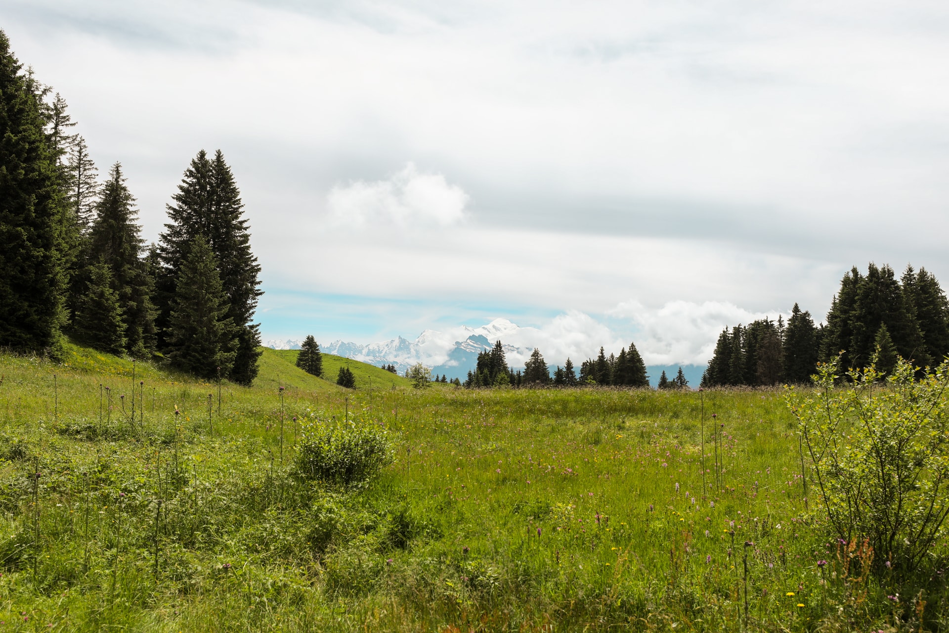 Panorama Mont Blanc