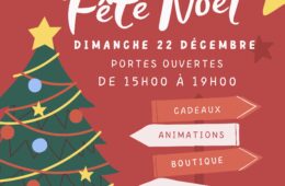 The Museum celebrate Christmas