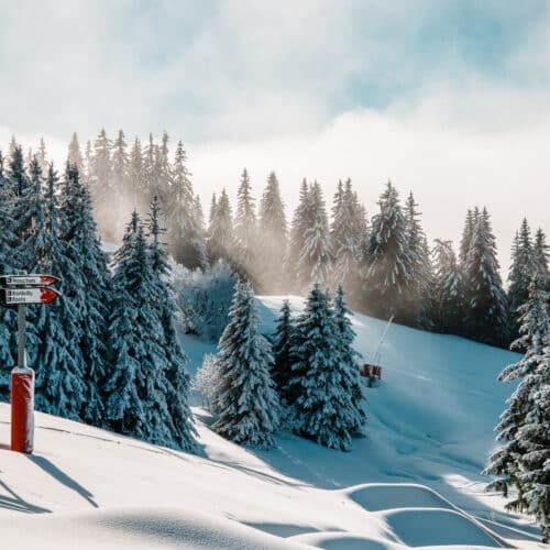 Les_Gets_Station_Montagne
