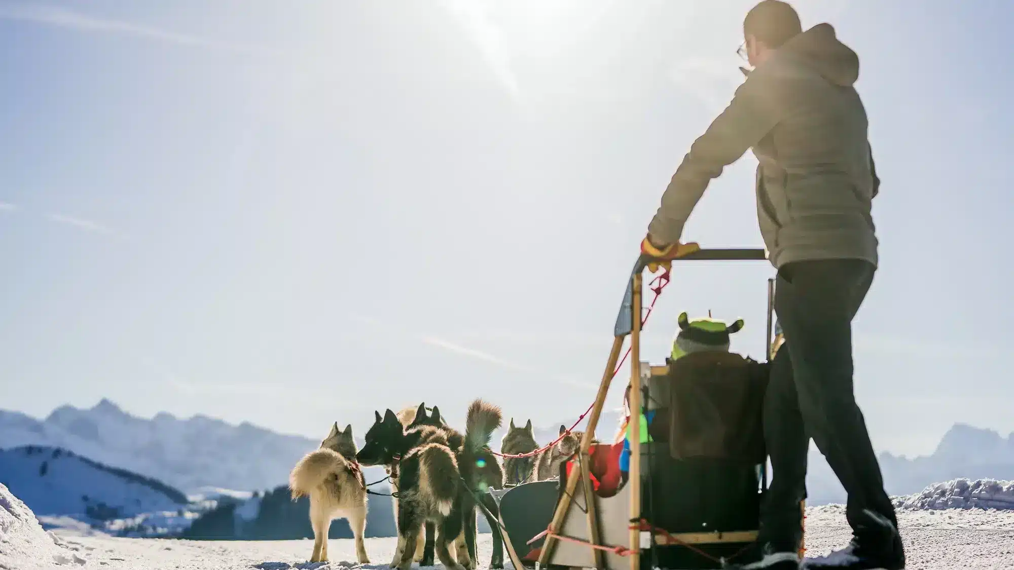 chien-traineau-les-gets