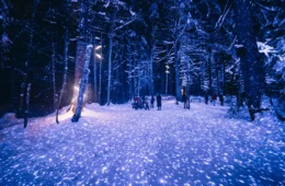 alta-lumina-les-gets