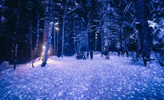 alta-lumina-les-gets