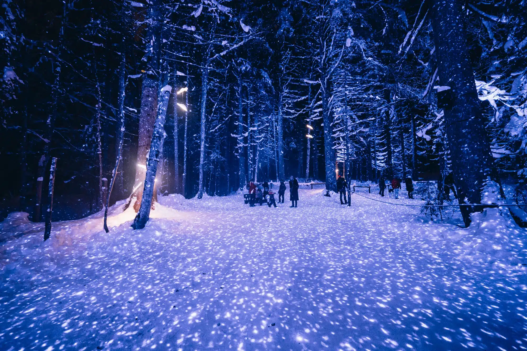 alta-lumina-les-gets