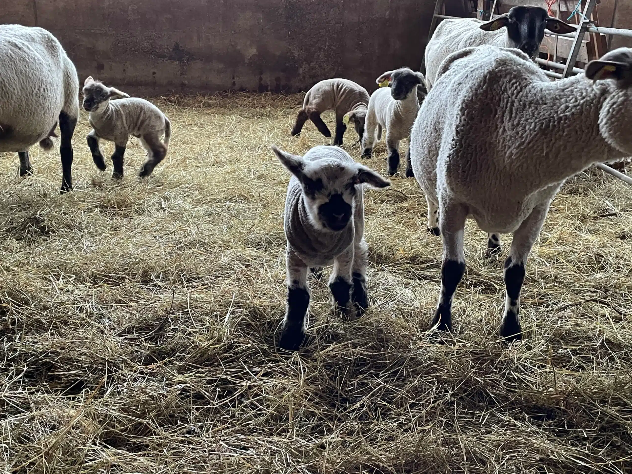 poterie-boutique-les-gets
